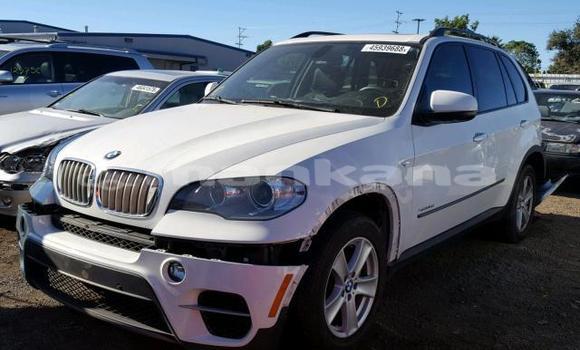 Medium with watermark 45083865 2132511910102068 3409188861669015552 n