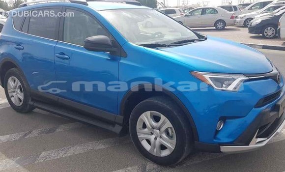 Buy Import Toyota RAV4 Blue Car in Import - Dubai in Abhasia Buy Import Toyota RAV4 Blue Car in Import - Dubai in Abhasia