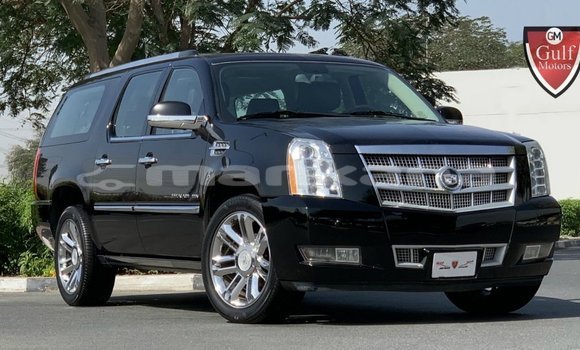 Buy Import Cadillac Escalade Black Car in Import - Dubai in Abhasia