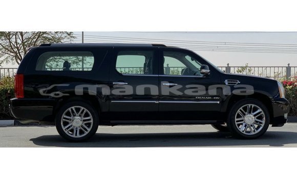 Buy Import Cadillac Escalade Black Car in Import - Dubai in Abhasia Buy Import Cadillac Escalade Black Car in Import - Dubai in Abhasia