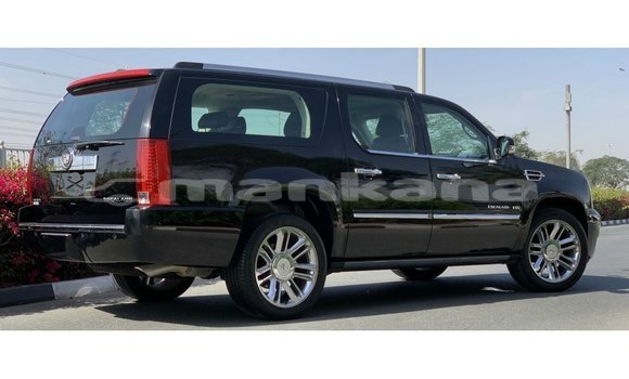 Buy Import Cadillac Escalade Black Car in Import - Dubai in Abhasia Buy Import Cadillac Escalade Black Car in Import - Dubai in Abhasia