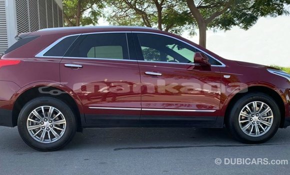 Buy Import Cadillac XT5 Red Car in Import - Dubai in Abhasia Buy Import Cadillac XT5 Red Car in Import - Dubai in Abhasia