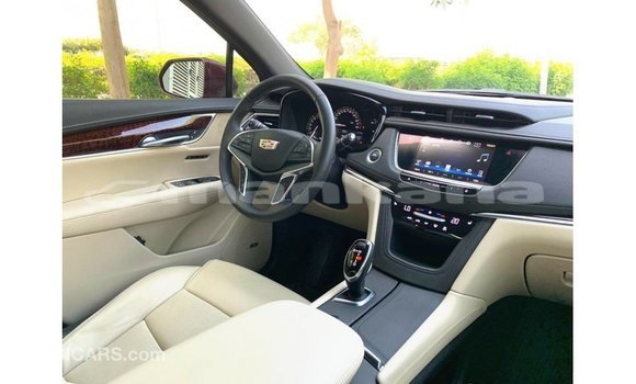 Buy Import Cadillac XT5 Red Car in Import - Dubai in Abhasia Buy Import Cadillac XT5 Red Car in Import - Dubai in Abhasia
