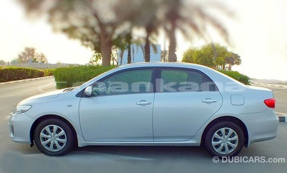Buy Import Toyota Corolla Other Car in Import - Dubai in Abhasia Buy Import Toyota Corolla Other Car in Import - Dubai in Abhasia