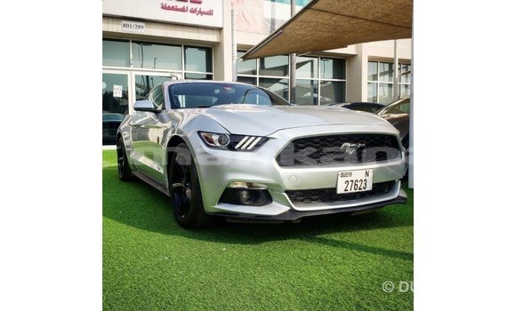 Buy Import Ford Mustang Other Car in Import - Dubai in Abhasia Buy Import Ford Mustang Other Car in Import - Dubai in Abhasia