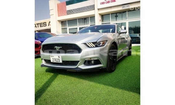 Buy Import Ford Mustang Other Car in Import - Dubai in Abhasia Buy Import Ford Mustang Other Car in Import - Dubai in Abhasia