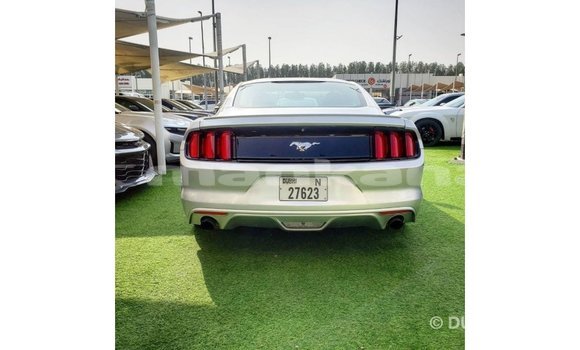 Buy Import Ford Mustang Other Car in Import - Dubai in Abhasia Buy Import Ford Mustang Other Car in Import - Dubai in Abhasia