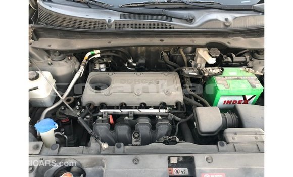 Buy Import Kia Sportage Other Car in Import - Dubai in Abhasia Buy Import Kia Sportage Other Car in Import - Dubai in Abhasia