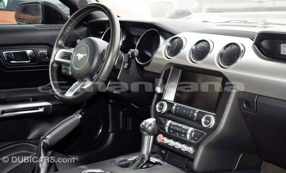 Buy Import Ford Mustang Black Car in Import - Dubai in Abhasia Buy Import Ford Mustang Black Car in Import - Dubai in Abhasia
