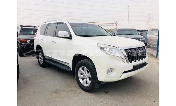 Buy Import Toyota Prado White Car in Import - Dubai in Abhasia Buy Import Toyota Prado White Car in Import - Dubai in Abhasia