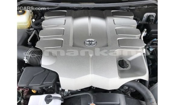 Buy Import Toyota Land Cruiser Red Car in Import - Dubai in Abhasia Buy Import Toyota Land Cruiser Red Car in Import - Dubai in Abhasia