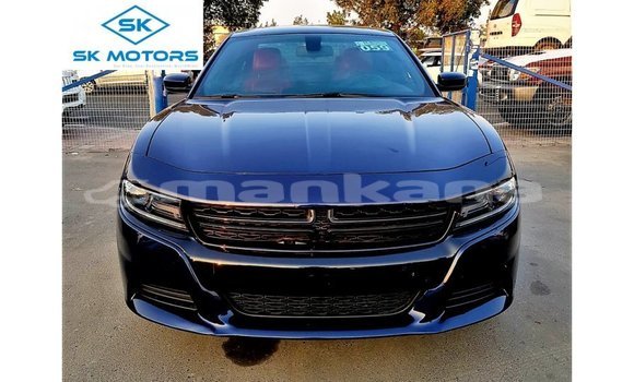 Buy Import Dodge Charger Blue Car in Import - Dubai in Abhasia Buy Import Dodge Charger Blue Car in Import - Dubai in Abhasia