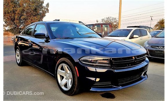 Buy Import Dodge Charger Blue Car in Import - Dubai in Abhasia Buy Import Dodge Charger Blue Car in Import - Dubai in Abhasia