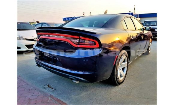 Buy Import Dodge Charger Blue Car in Import - Dubai in Abhasia Buy Import Dodge Charger Blue Car in Import - Dubai in Abhasia