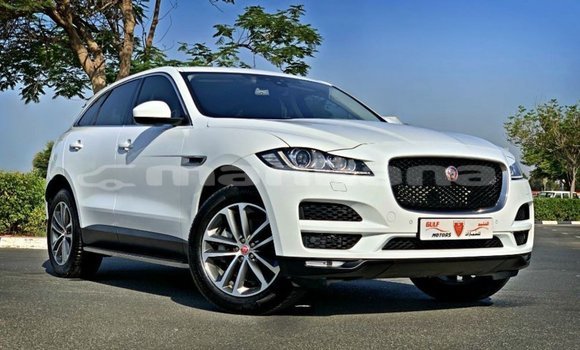 Buy Import Jaguar F-Pace White Car in Import - Dubai in Abhasia