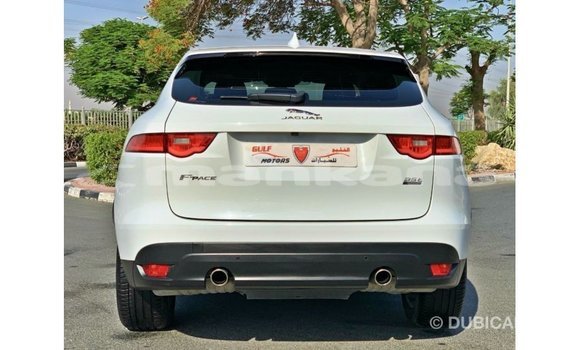 Buy Import Jaguar F-Pace White Car in Import - Dubai in Abhasia Buy Import Jaguar F-Pace White Car in Import - Dubai in Abhasia