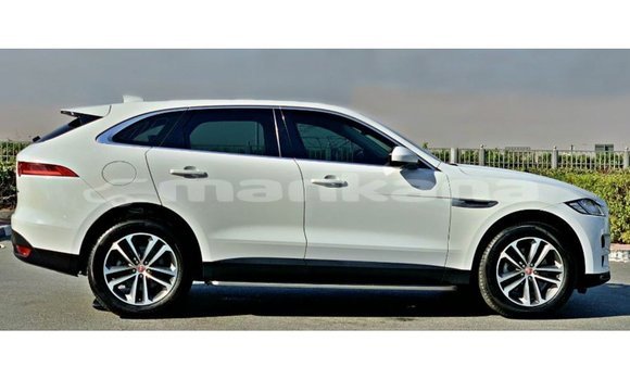 Buy Import Jaguar F-Pace White Car in Import - Dubai in Abhasia Buy Import Jaguar F-Pace White Car in Import - Dubai in Abhasia