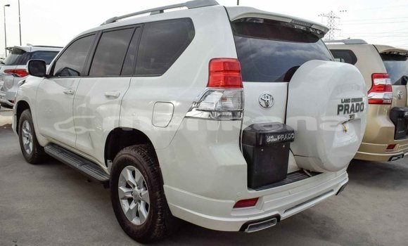 Buy Import Toyota Prado White Car in Import - Dubai in Abhasia Buy Import Toyota Prado White Car in Import - Dubai in Abhasia