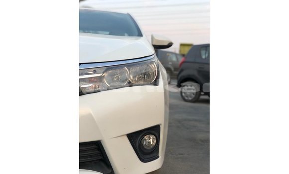 Buy Import Toyota Corolla White Car in Import - Dubai in Abhasia Buy Import Toyota Corolla White Car in Import - Dubai in Abhasia