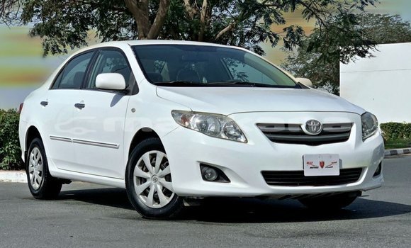 Buy Import Toyota Corolla White Car in Import - Dubai in Abhasia Buy Import Toyota Corolla White Car in Import - Dubai in Abhasia