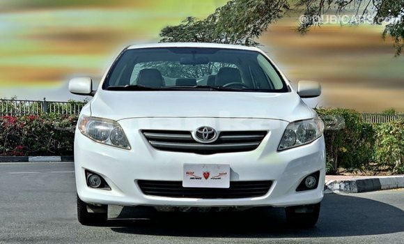 Buy Import Toyota Corolla White Car in Import - Dubai in Abhasia Buy Import Toyota Corolla White Car in Import - Dubai in Abhasia