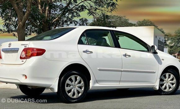 Buy Import Toyota Corolla White Car in Import - Dubai in Abhasia Buy Import Toyota Corolla White Car in Import - Dubai in Abhasia
