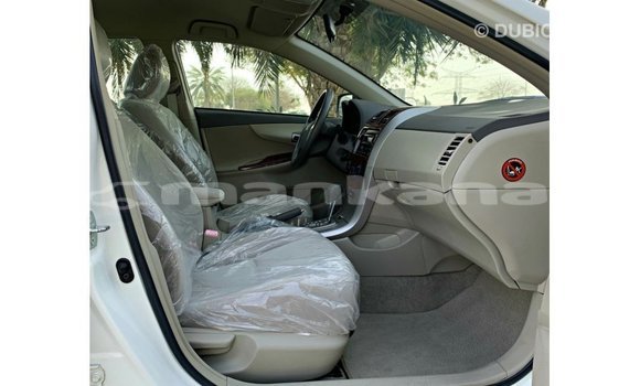 Buy Import Toyota Corolla White Car in Import - Dubai in Abhasia Buy Import Toyota Corolla White Car in Import - Dubai in Abhasia