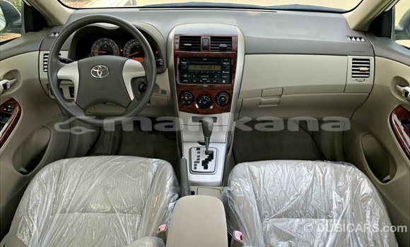Buy Import Toyota Corolla White Car in Import - Dubai in Abhasia Buy Import Toyota Corolla White Car in Import - Dubai in Abhasia