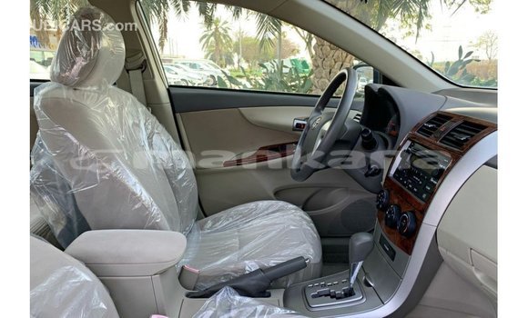 Buy Import Toyota Corolla White Car in Import - Dubai in Abhasia Buy Import Toyota Corolla White Car in Import - Dubai in Abhasia