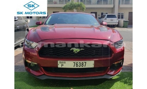 Buy Import Ford Mustang Red Car in Import - Dubai in Abhasia Buy Import Ford Mustang Red Car in Import - Dubai in Abhasia