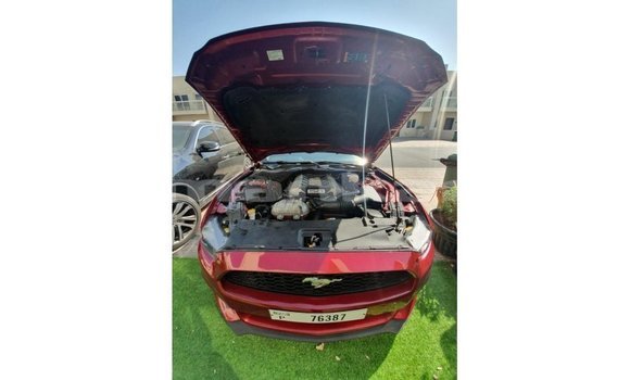Buy Import Ford Mustang Red Car in Import - Dubai in Abhasia Buy Import Ford Mustang Red Car in Import - Dubai in Abhasia