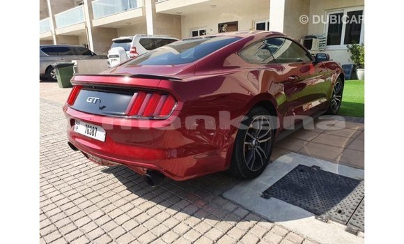 Buy Import Ford Mustang Red Car in Import - Dubai in Abhasia Buy Import Ford Mustang Red Car in Import - Dubai in Abhasia
