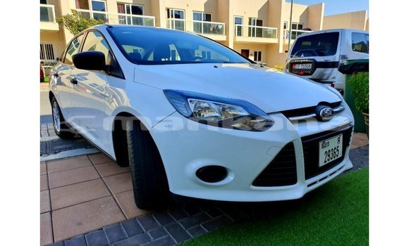 Buy Import Ford Focus White Car in Import - Dubai in Abhasia