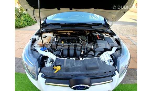 Buy Import Ford Focus White Car in Import - Dubai in Abhasia Buy Import Ford Focus White Car in Import - Dubai in Abhasia