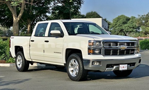 Buy Import Chevrolet Silverado White Car in Import - Dubai in Abhasia