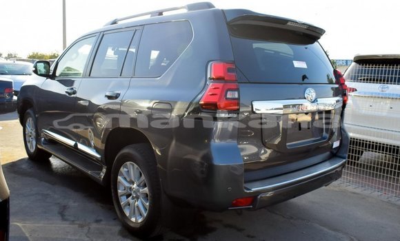 Buy Import Toyota Prado Other Car in Import - Dubai in Abhasia Buy Import Toyota Prado Other Car in Import - Dubai in Abhasia