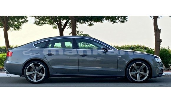 Buy Import Audi 100 Other Car in Import - Dubai in Abhasia Buy Import Audi 100 Other Car in Import - Dubai in Abhasia