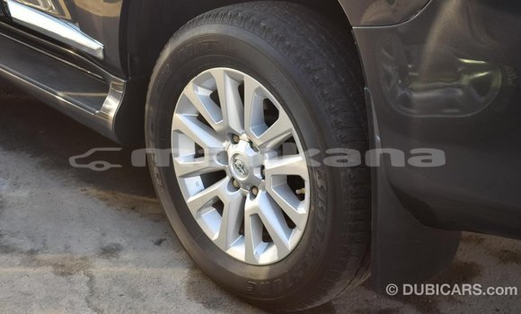 Buy Import Toyota Prado Other Car in Import - Dubai in Abhasia Buy Import Toyota Prado Other Car in Import - Dubai in Abhasia
