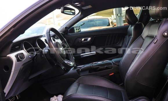 Buy Import Ford Mustang Black Car in Import - Dubai in Abhasia Buy Import Ford Mustang Black Car in Import - Dubai in Abhasia