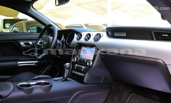 Buy Import Ford Mustang Black Car in Import - Dubai in Abhasia Buy Import Ford Mustang Black Car in Import - Dubai in Abhasia