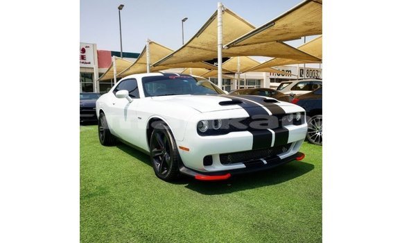 Buy Import Dodge Challenger White Car in Import - Dubai in Abhasia