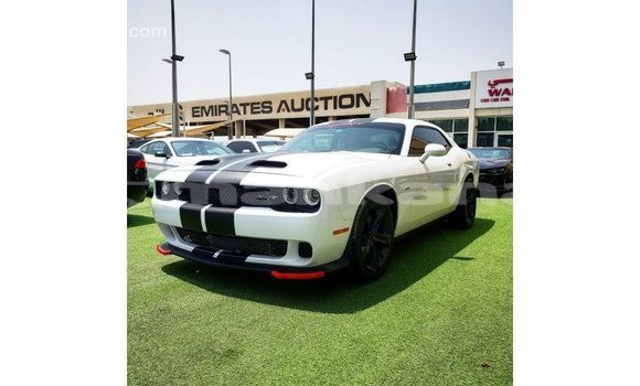 Buy Import Dodge Challenger White Car in Import - Dubai in Abhasia Buy Import Dodge Challenger White Car in Import - Dubai in Abhasia