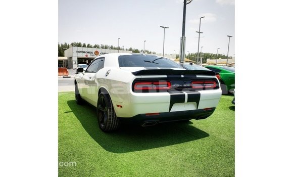 Buy Import Dodge Challenger White Car in Import - Dubai in Abhasia Buy Import Dodge Challenger White Car in Import - Dubai in Abhasia