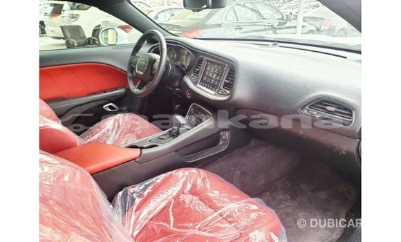 Buy Import Dodge Challenger White Car in Import - Dubai in Abhasia Buy Import Dodge Challenger White Car in Import - Dubai in Abhasia