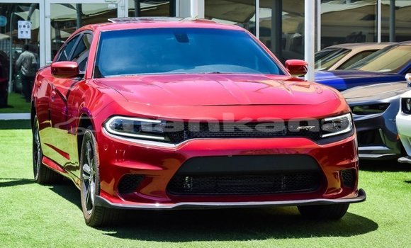 Buy Import Dodge Charger Red Car in Import - Dubai in Abhasia