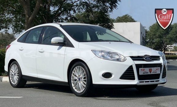 Buy Import Ford Focus White Car in Import - Dubai in Abhasia