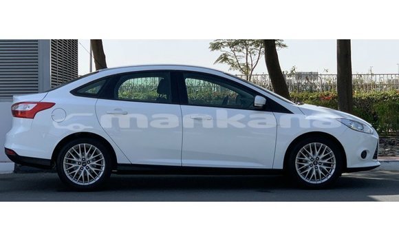 Buy Import Ford Focus White Car in Import - Dubai in Abhasia Buy Import Ford Focus White Car in Import - Dubai in Abhasia