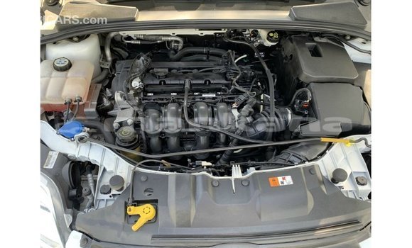 Buy Import Ford Focus White Car in Import - Dubai in Abhasia Buy Import Ford Focus White Car in Import - Dubai in Abhasia