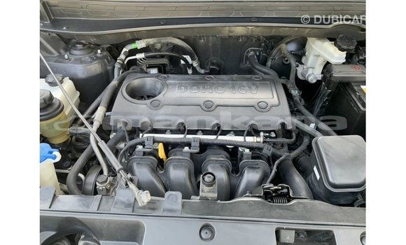 Buy Import Kia Sportage Black Car in Import - Dubai in Abhasia Buy Import Kia Sportage Black Car in Import - Dubai in Abhasia