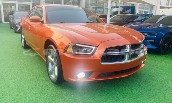 Buy Import Dodge Charger Other Car in Import - Dubai in Abhasia Buy Import Dodge Charger Other Car in Import - Dubai in Abhasia
